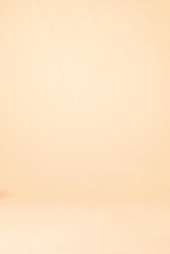 Archipel | Berlin PBJ on White Loaf