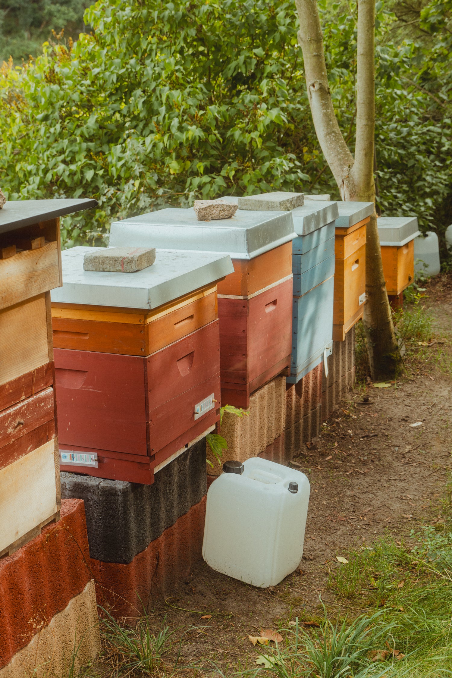 Vendors & Producers Recipes: Jonas from King Kong Honey - Honey Chia Pudding & Caramelized Seeds.