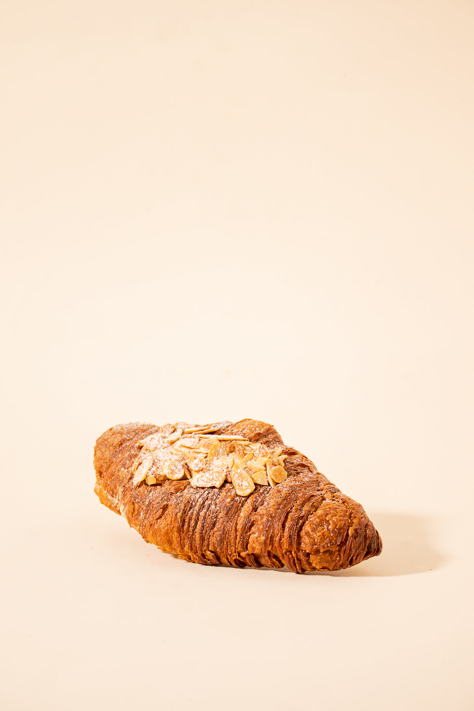 Albatross | Mandelcroissant