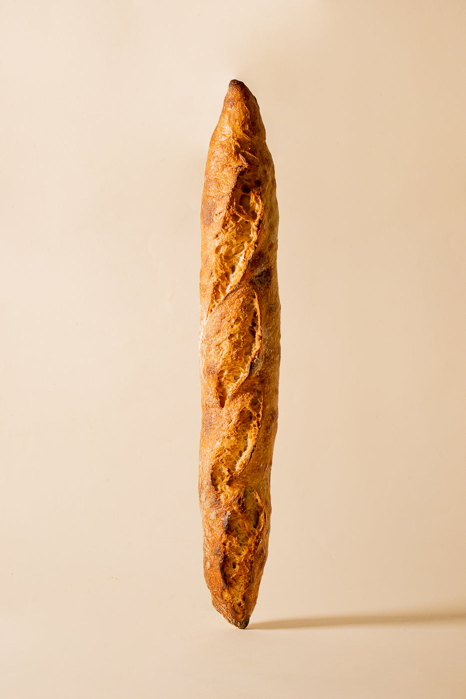 Albatross | Sauerteigbaguette