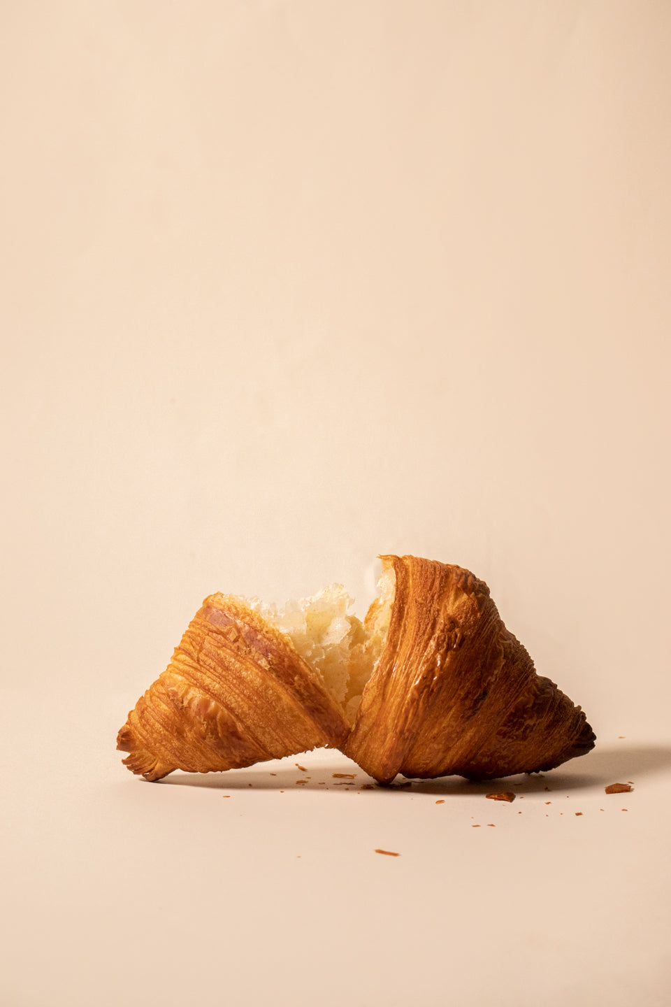 Albatross | Croissant