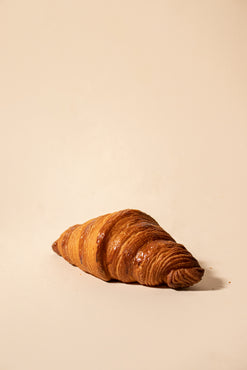 Albatross | Croissant