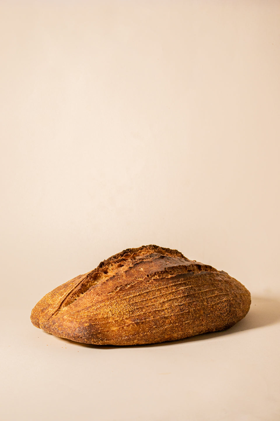 Albatross | Hausbrot