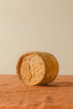 Maison Marie Severac | Le Sénerac