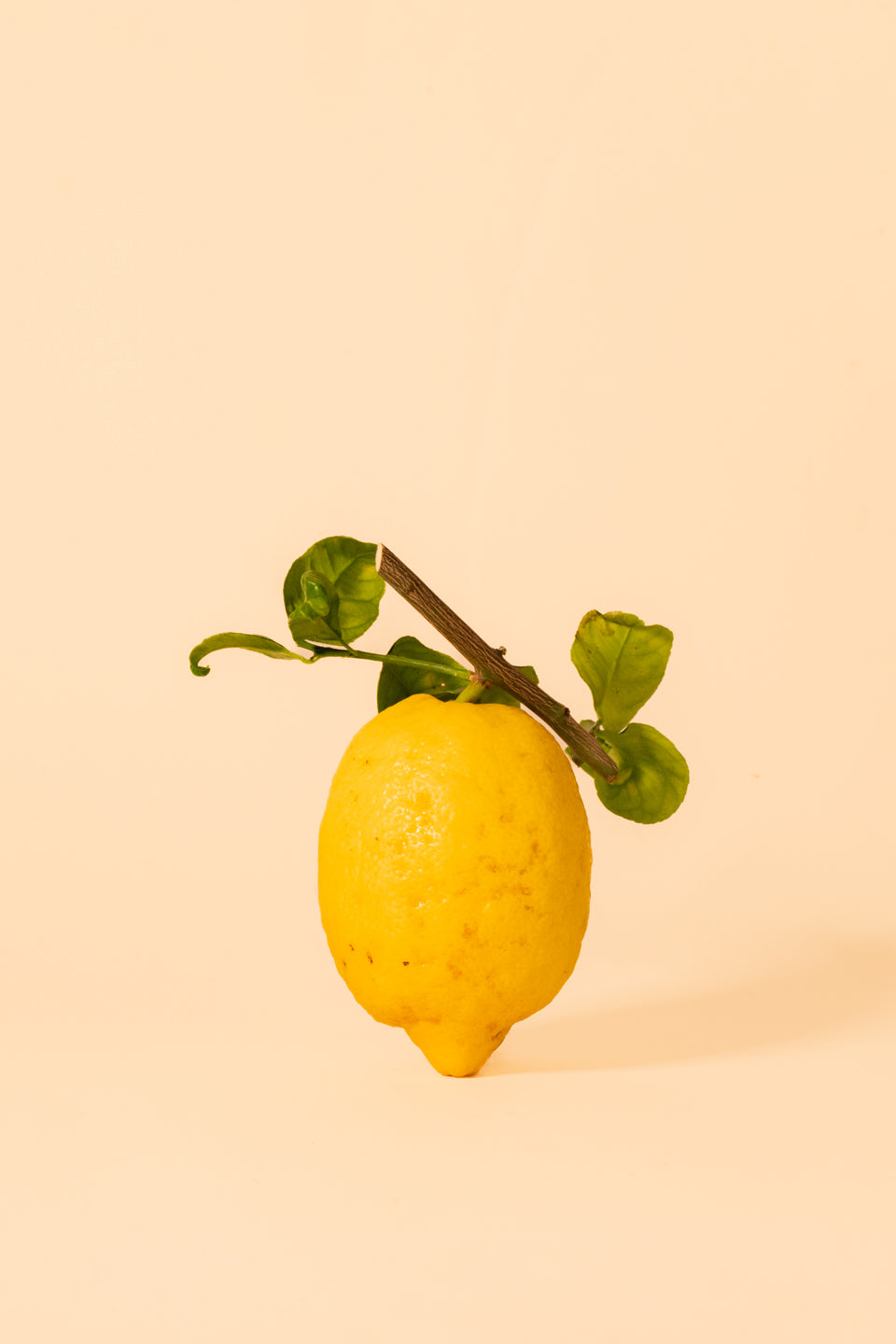 Puro | Sicilian Lemons - 1 Kg