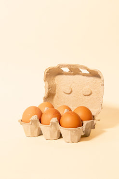 Free-range Eggs from Brandenburg